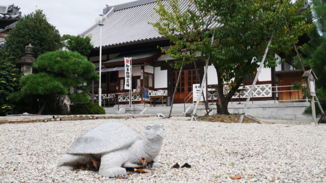 曹源寺の境内