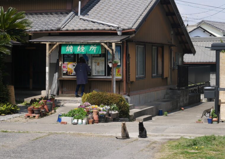 福住寺の納経所と猫